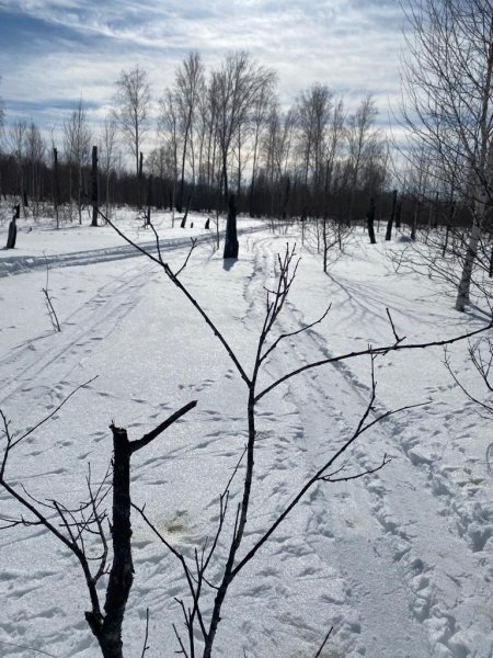 В Убинском районе Новосибирской области задержаны подозреваемые в незаконной охоте