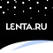 Упавший с неба пеликан оставил российскую деревню без света